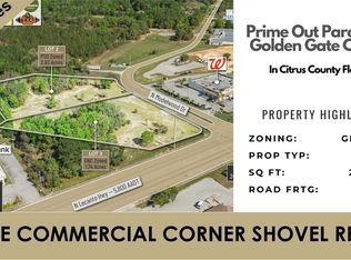 4115 N Bartley Ter, Beverly Hills, FL 34465