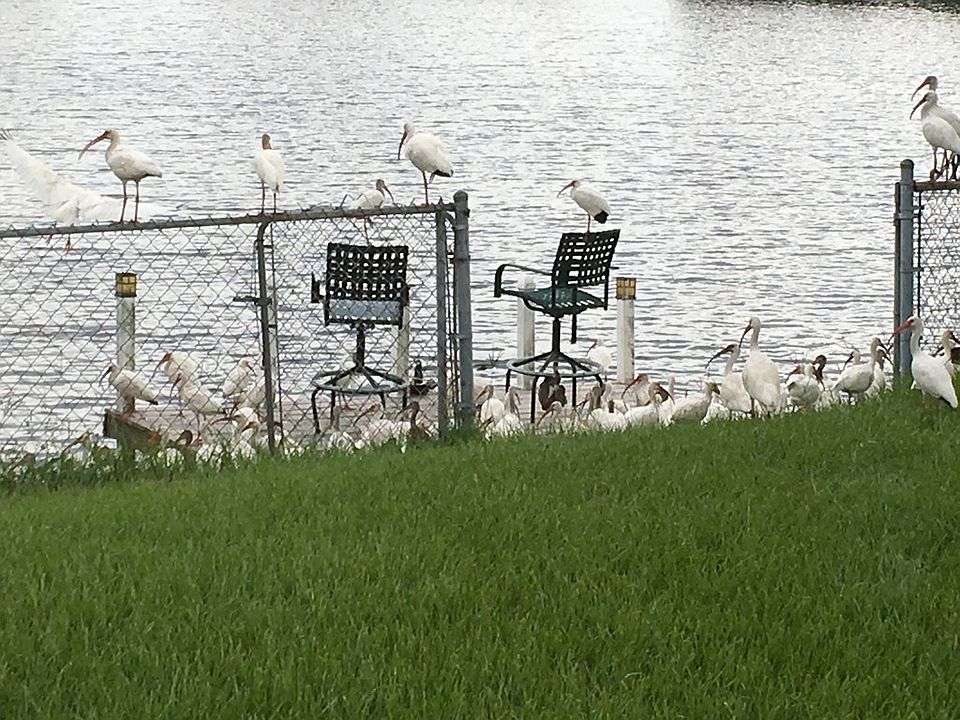 1st image of 69 Lake Pointe Dr