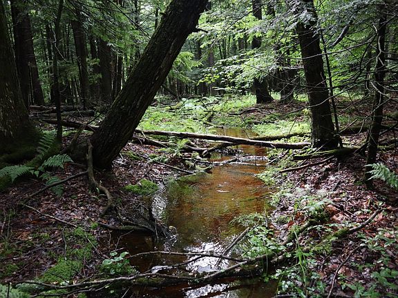 4th image of 0 Corbin Hill Rd