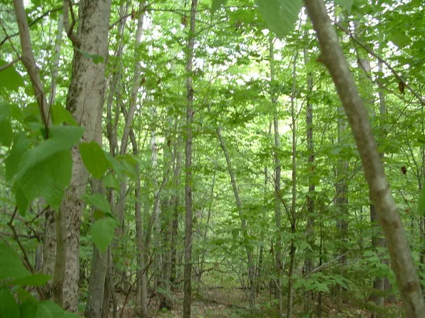 82 Oak Hollow Rd, Jay, NY 12941