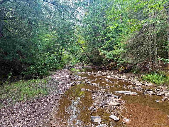 2nd image of LOT 1 N M 64