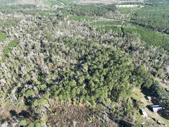 O'Red John Hilton Rd, Hineston, LA 71438