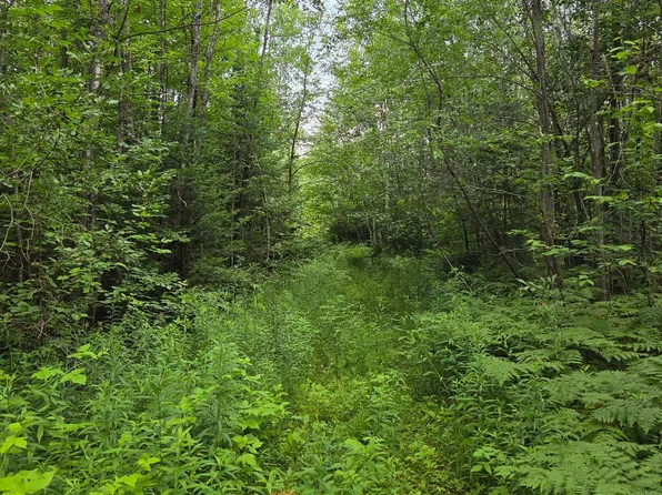 Cth N #J, Bancroft, WI 54921