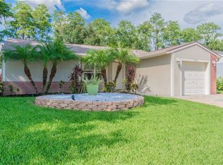 5711 Carrollwood Meadows Dr, Tampa, FL 33625