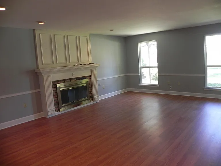 Living Room and Fireplace