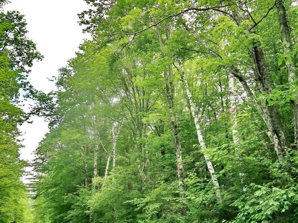 TBD Easton Road, Sugar Hill, NH 03586