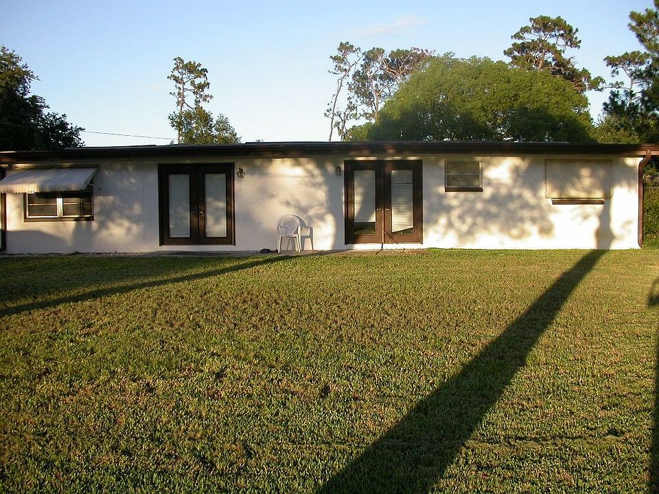 back view