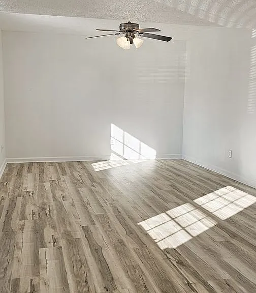 Beautifully updated 4 Bedroom/2 Bathroom downstairs apartment — Photo 43