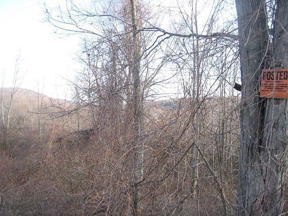 2nd image of 503 Burnett Ln