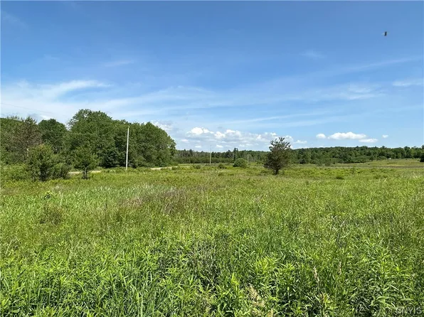 0 Redman Rd, Fillmore, NY 14735