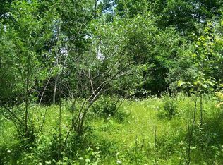 Tbd Winding Wood, Farwell, MI 48622