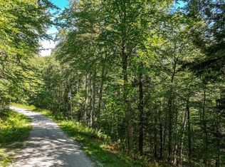 161 Hawk Spur Rd #1-61, Plymouth, VT 05056