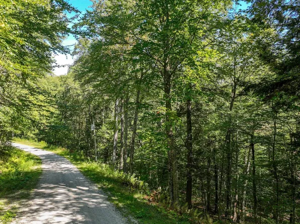 1-61 Hawk Spur Road #1-61, Plymouth, VT 05056