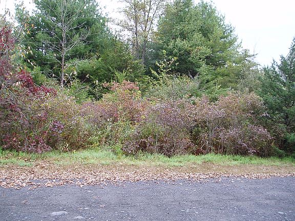 2nd image of 1000311 Wileys Swamp Ct