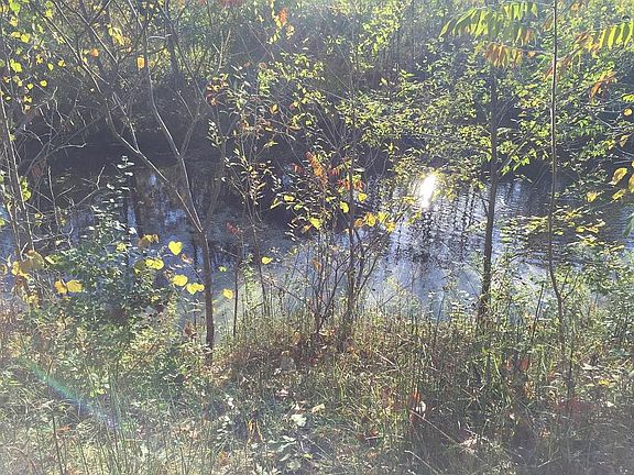 5th image of 1503 Echo Valley Dr
