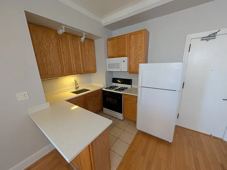3330 N Lake Shore Dr — Photo 10