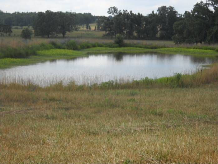 2nd image of 12247 County Road 8390