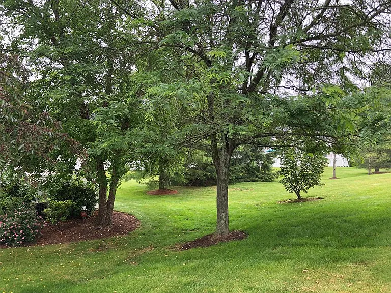 304 Harvest Ln — Photo 27