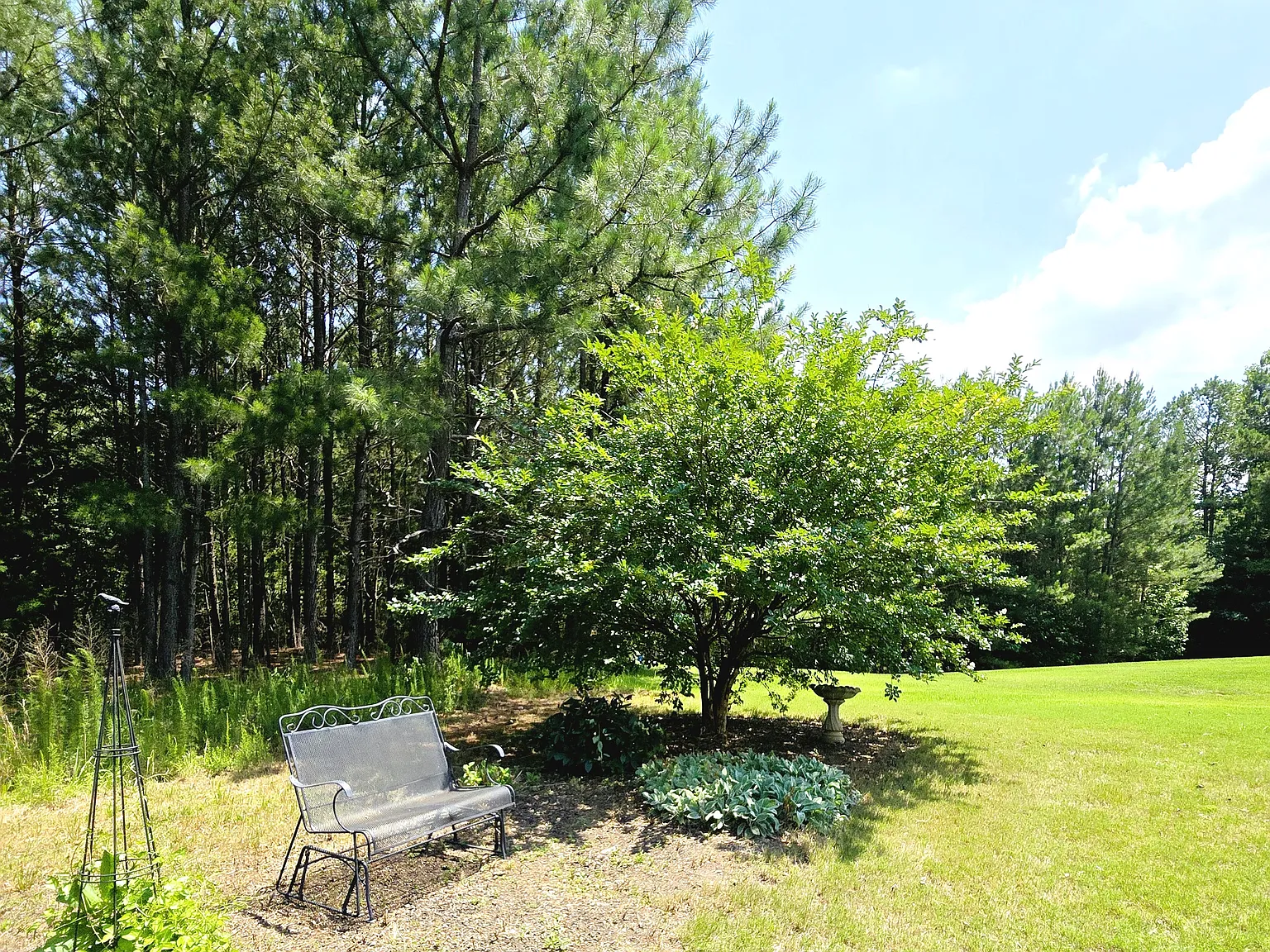 3 bed, 1322 sqft, $2,150 — Photo 4