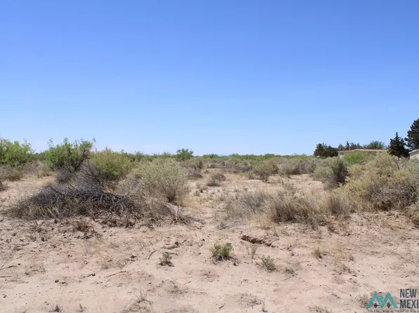 Hondo Rd SW, Deming, NM 88030
