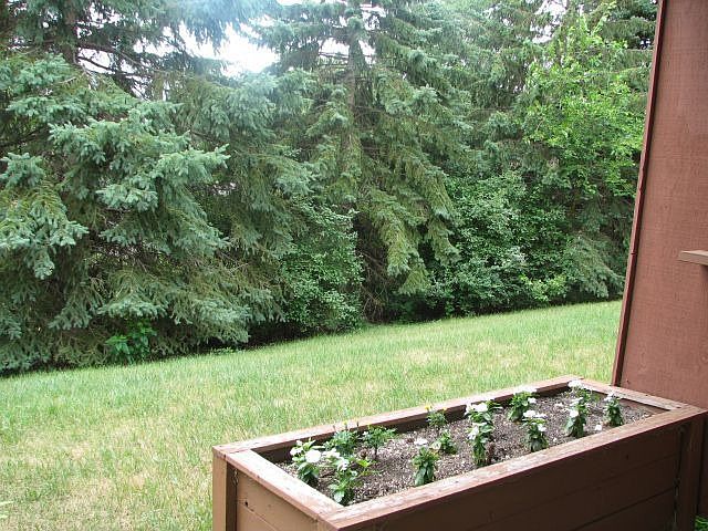 View from your patio