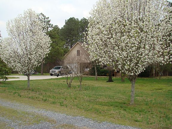Coming up the driveway