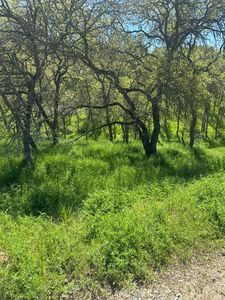 6296 Friedman Way, Valley Springs, CA, 95252