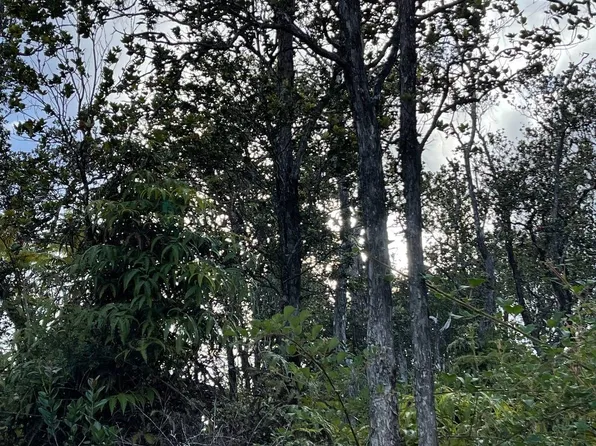 11-3116 Mokuna St #A, Volcano, HI 96785