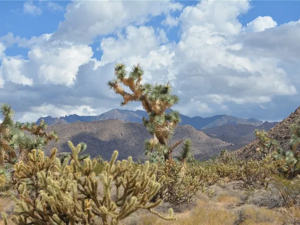 C8 Duquesne Rd, Yucca, AZ 86438