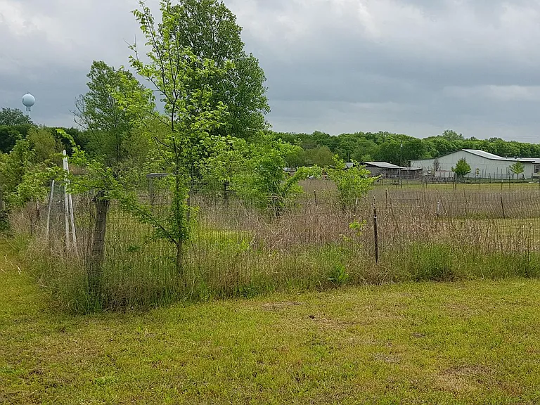 10325 County Road 470 — Photo 11