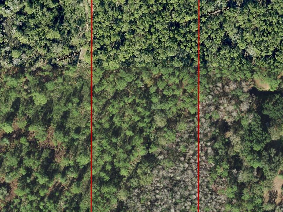 2nd image of 0 Alligator Road