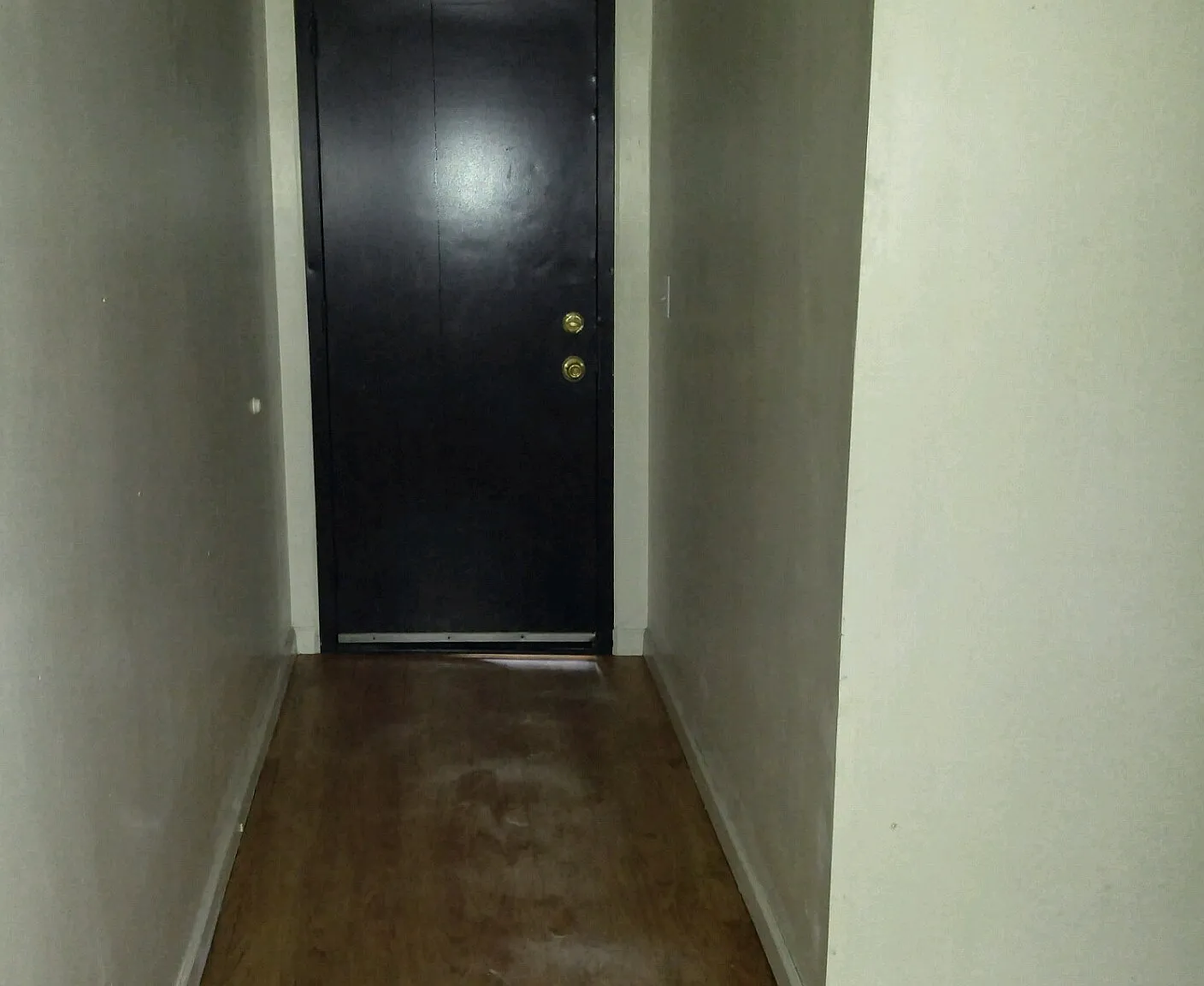 Studio, 550 sqft, $900 — Photo 2