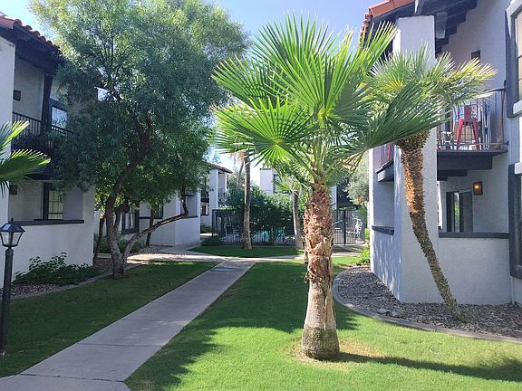 3rd image of 331 W Pastime Rd #201