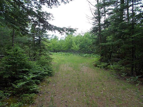 5th image of 584 County Road 441