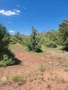 6274 Apache Trl, Show Low, AZ, 85901