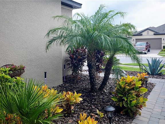 3rd image of 2710 Stargrass Cir