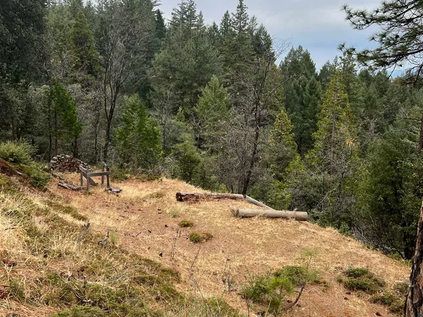 19262 Tanglewood Trl, Twain Harte, CA 95383