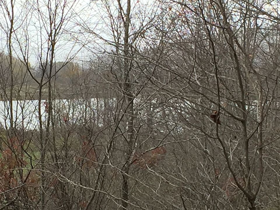 View to Lake