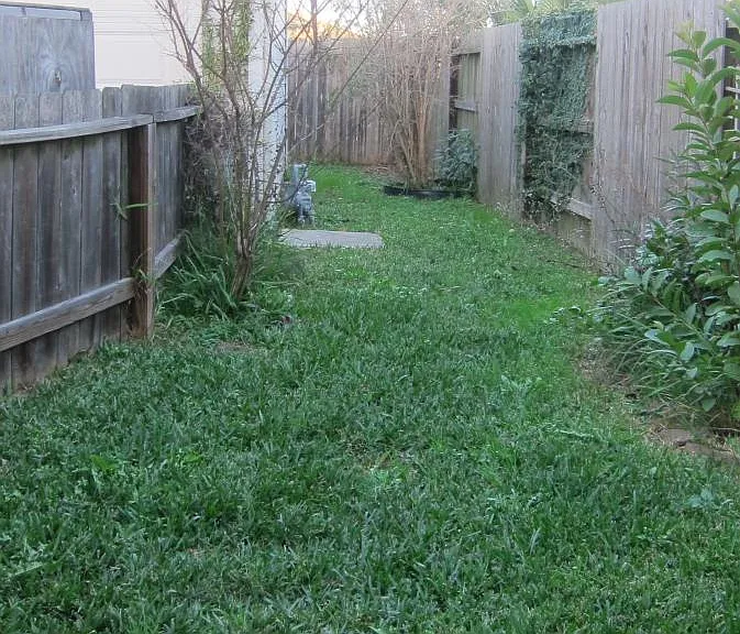 small backyard