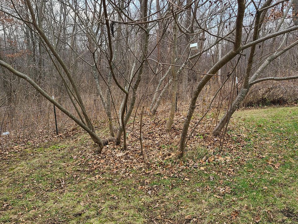 2nd image of 12701 Holibaugh Rd