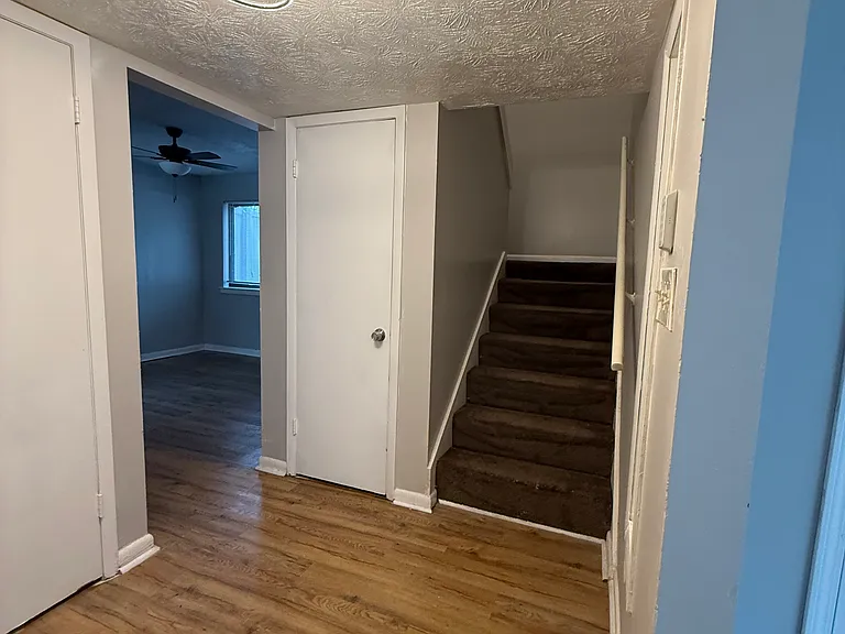 904 Pine Oak Trl — Photo 15
