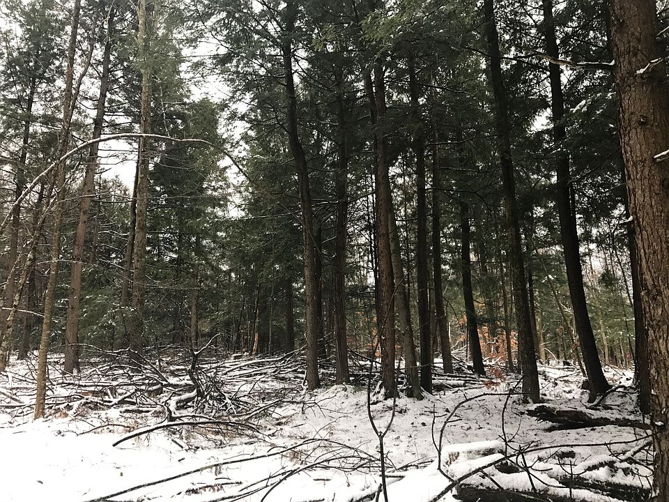 2nd image of Bull Run Rd