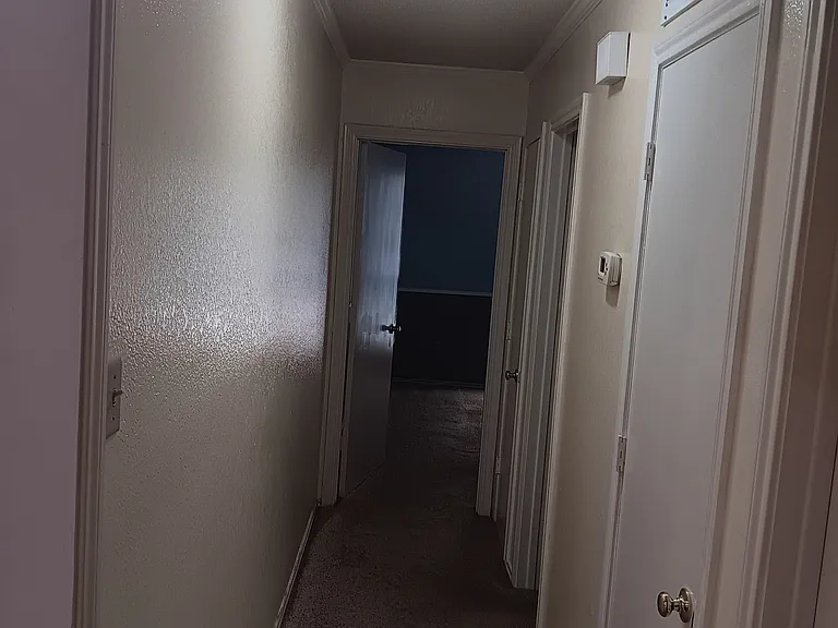 Hallway with smoke detector, bright lighting, storage closets with shelving & quick access to full bathroom.
