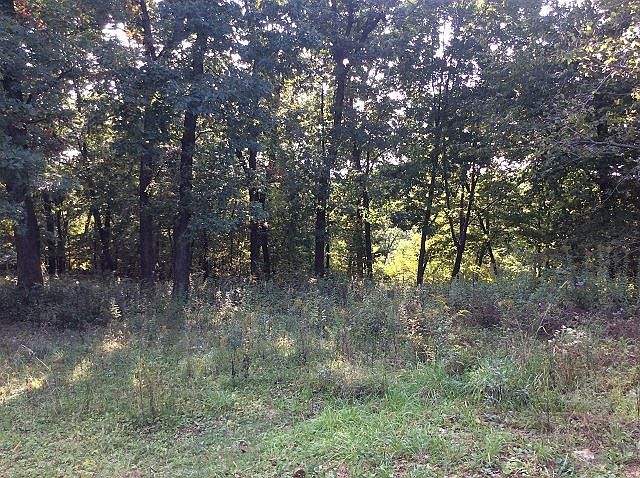 2nd image of Majestic View Ln