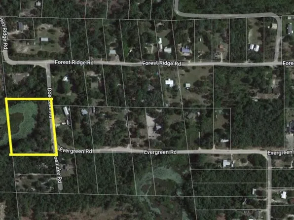 41807 Doe Lake Rd, Deland, FL 32720