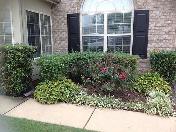 4th image of 8777 Parkview Oaks Cir #50