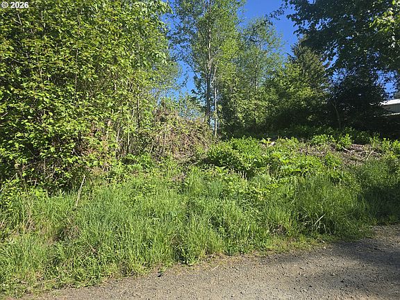 3rd image of Bear Rd