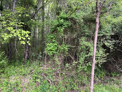 867 S River Oaks Dr, Hayesville, NC, 28904