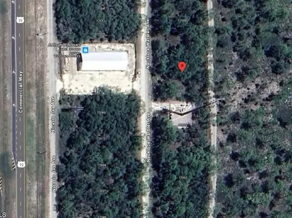 17094 Necklace Warbler Ave, Brooksville, FL 34614