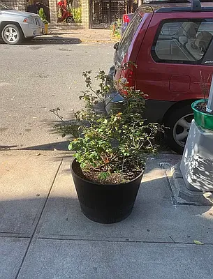 Rented by Mark T. Mallek, LREB | media 22